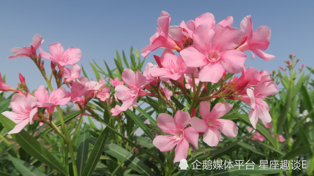 3月25日星座运势 不卑不亢 明察秋毫的四大星座 天天看点