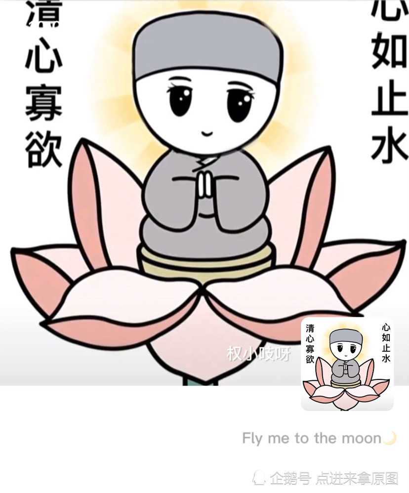 心如止水(心如止水静若安澜是什么意思)