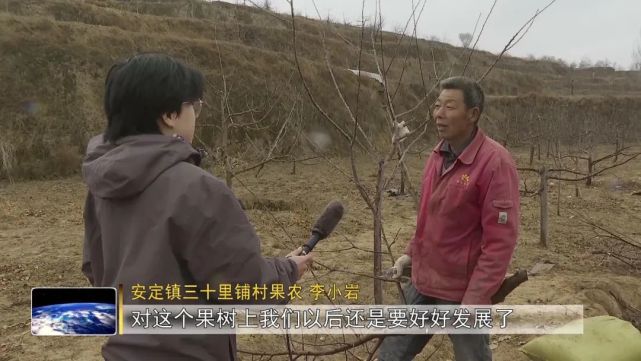 安定镇三十里铺村果农 李小岩:对这个果树上我们