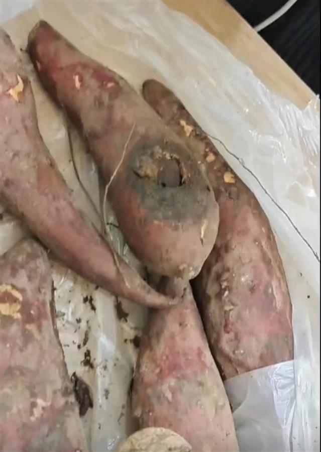 四川宜宾一幼儿园被曝食材发霉变质多部门介入调查