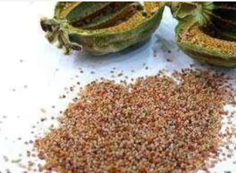 为了销量好夫妻俩竟用罂粟壳做调料最终得到惩罚