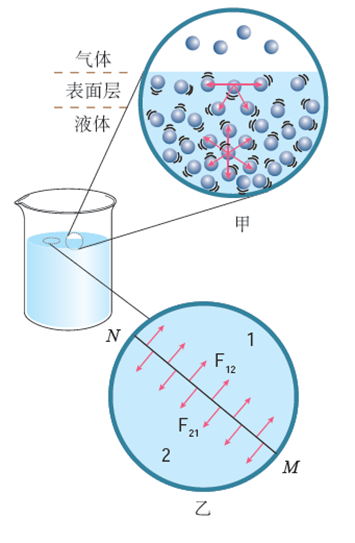 这是液体表面张力形成的现象.