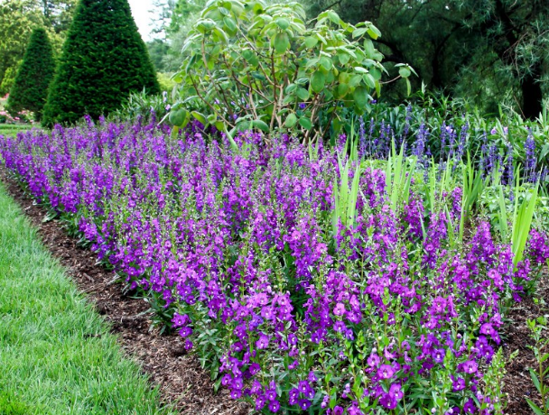 3月25日开始 4属相贵人相助 事业进步 生活顺风顺水 天天看点