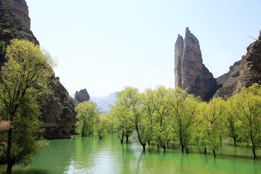 黄河春之美美在永靖蓝