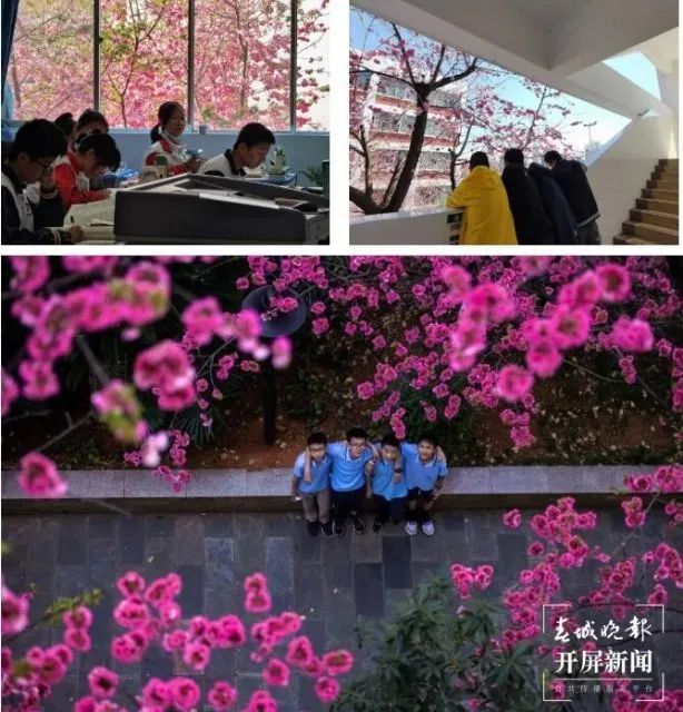 花西设计学院图片