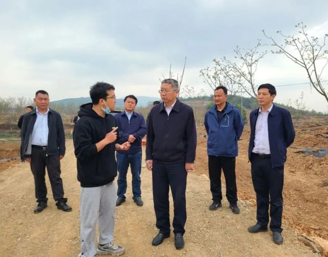 县委书记张先宝深入撒营盘镇调研指导乡村振兴,产业发展,水源保护工作