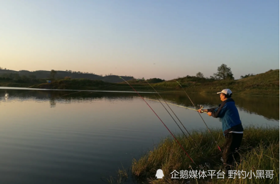 但是夜裡的時候,溫度不會像白天一樣高,也不會有嘈雜的干擾,魚情也會