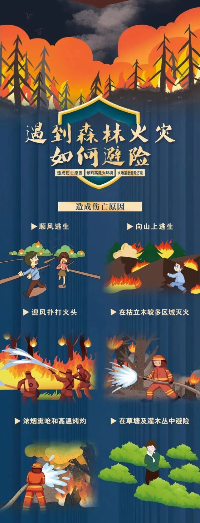 避险!紧急避险!遇到森林火灾避险攻略必掌握