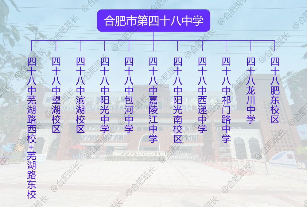 濱湖屯溪路小學怎么樣_屯溪路小學濱湖校區怎么樣_濱湖屯溪路小學學區房