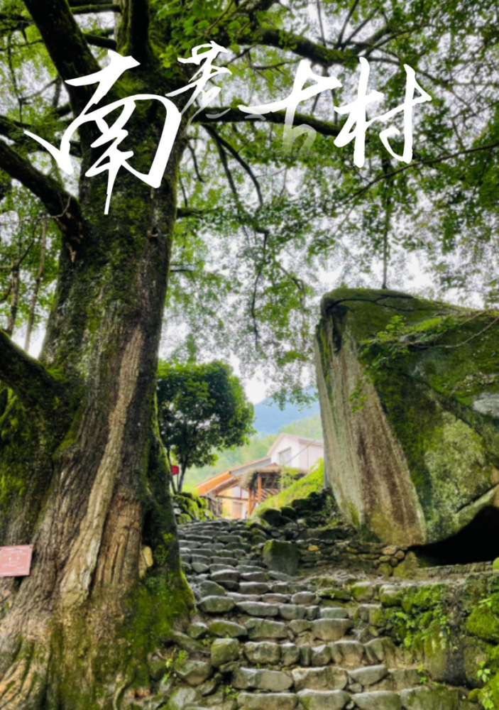 一眼心动丨带你走进明月山下的世外桃源探寻南惹古村的奥秘