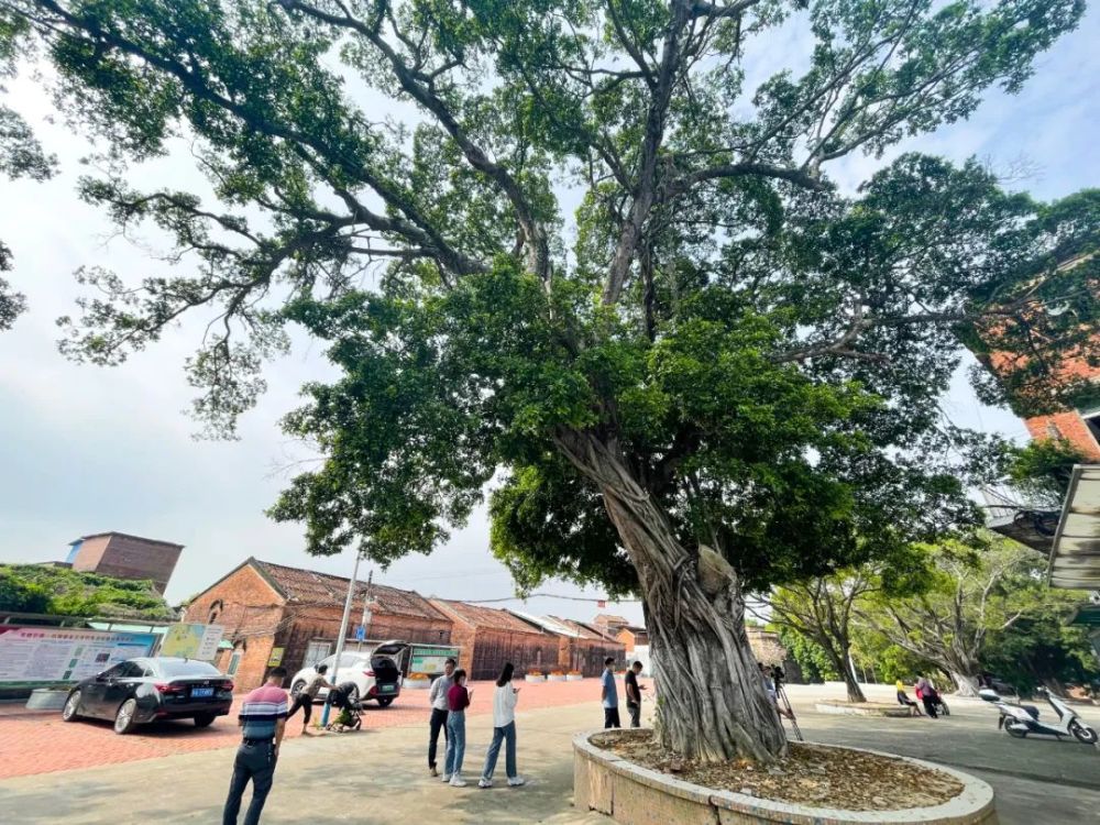 全面整改 出新出彩|石滩镇用心用情让古村落实现"活态传承" ,让文化