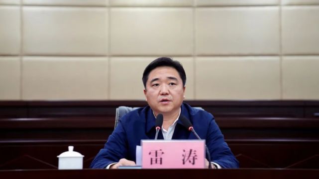 市政府副市长,叙州区委书记雷涛出席会