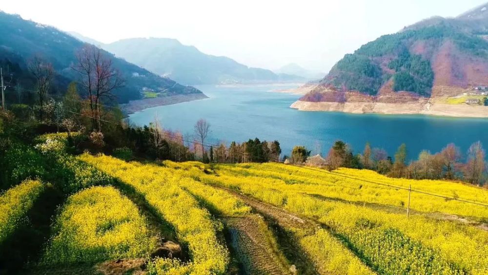 創名縣看青川賞花觀水白龍湖正當時