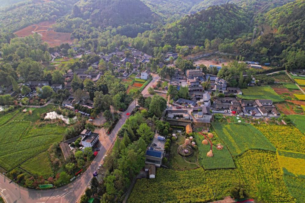 成都的"最美公路"竟叫作重庆路,油菜花海里看熊猫,共迎大运会_腾讯