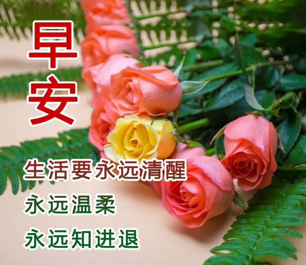 明媚三月最美的早上好動態祝福圖片新的一天問候早安愉快美圖美句