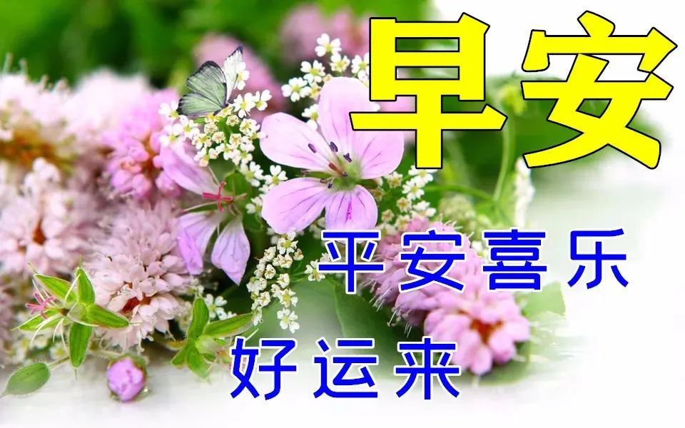 3月25日最新版漂亮早晨好圖片帶字溫馨早上好動畫表情圖片大全