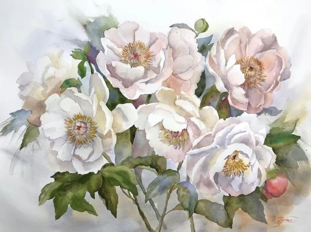 【絵画】ボタニカルアート　「カサブランカ　純白の貴婦人」原画 絵画】ボタニカルアート 「カサブランカ 純白の貴婦人」原画