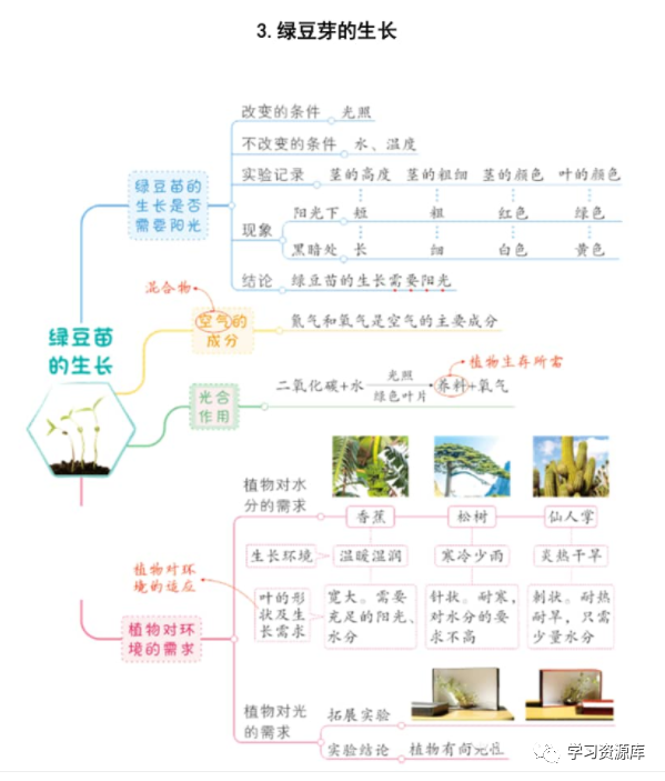 教科版科学五下第一单元思维导图每课都有