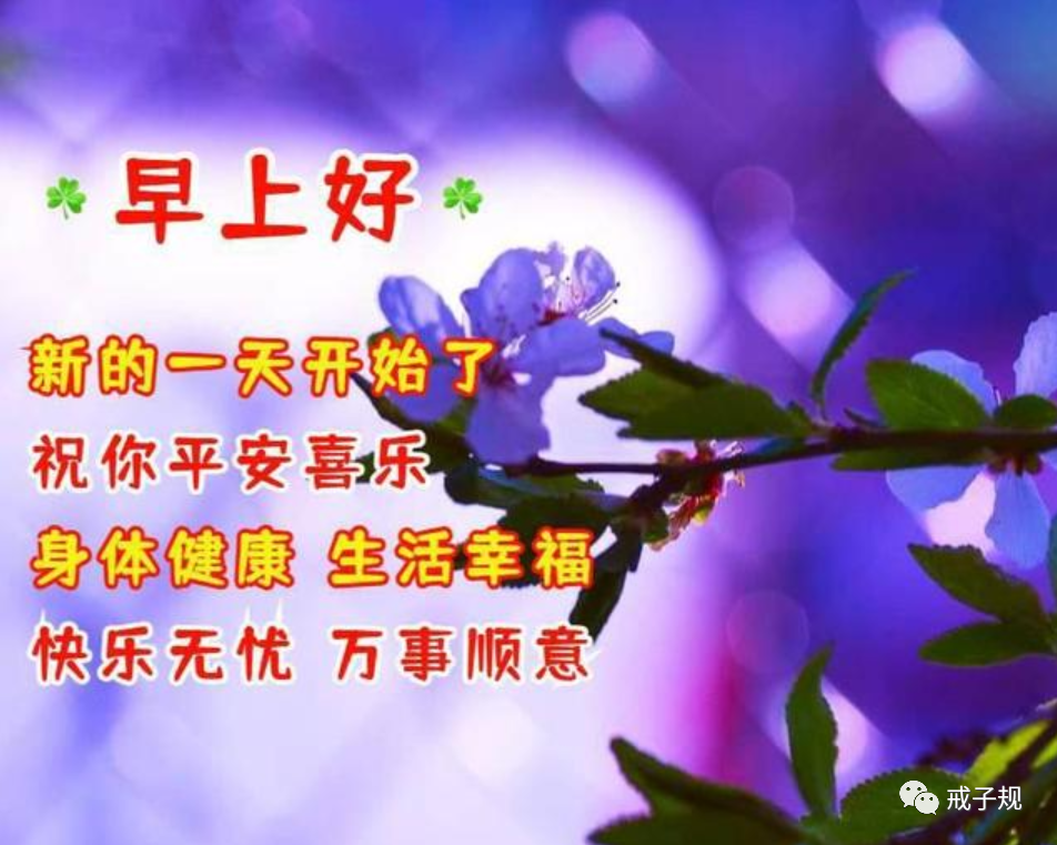 早上好祝福问候平安吉祥