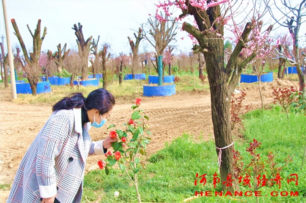 商丘夏邑县蒋铁亮图片