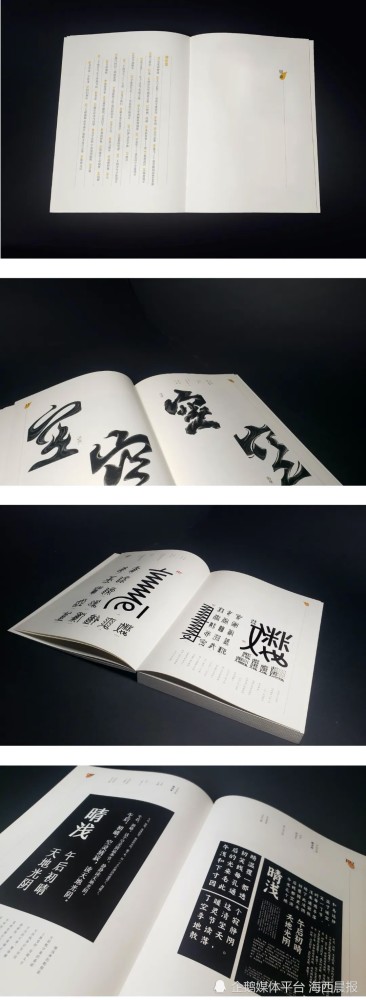 两岸汉字创意大赛精选作品集正热销 天天看点