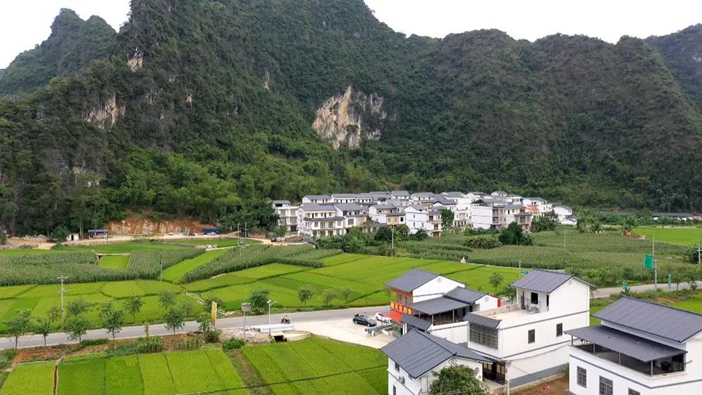 【乡村振兴看崇左】新尺标!村规民约 "约"出乡村文明新气象_腾讯新闻