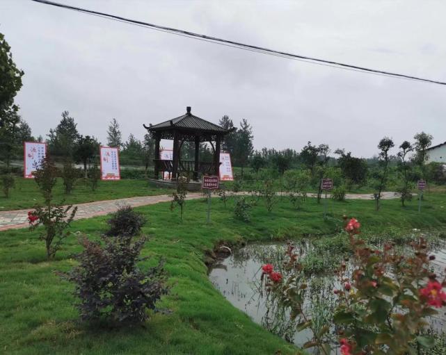 河南省淮滨县王店乡:一宅变四园 美丽乡村展新颜