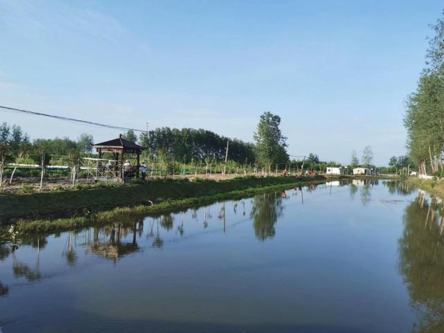 河南省淮滨县王店乡:一宅变四园 美丽乡村展新颜