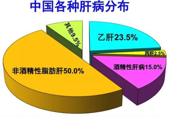 脂肪肝不治疗预期寿命减10年体检的那些事儿