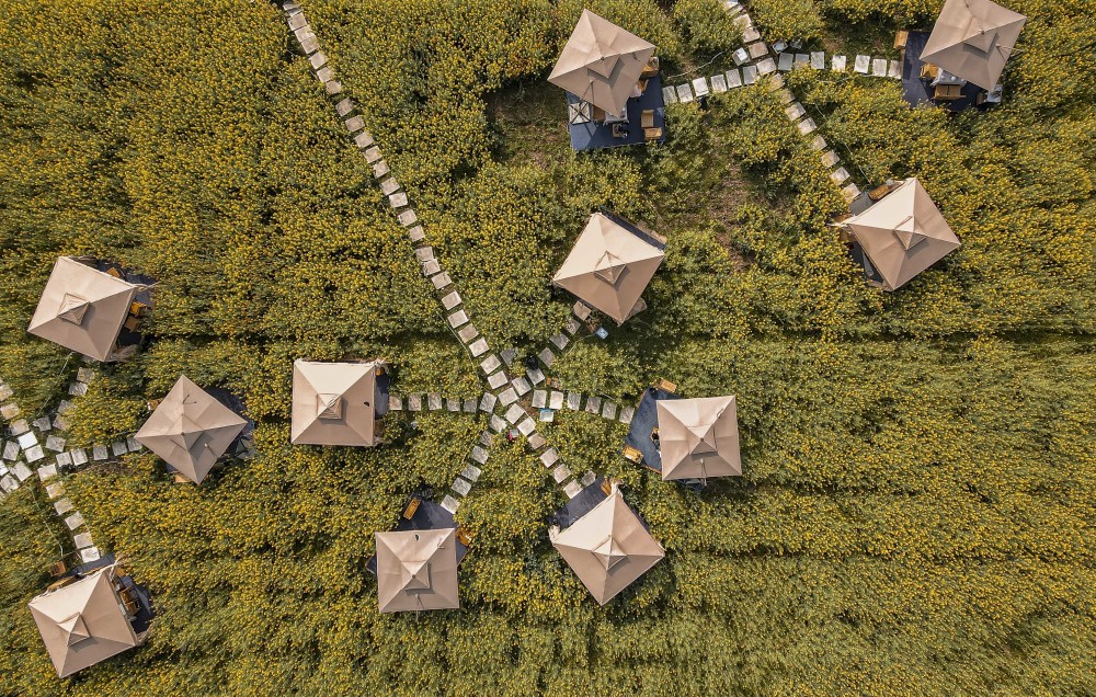 原来整个店的所有包间和木栈道,共同组成了一棵大树的形状,真的是把"