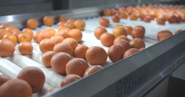 江西赣南脐橙网图片1