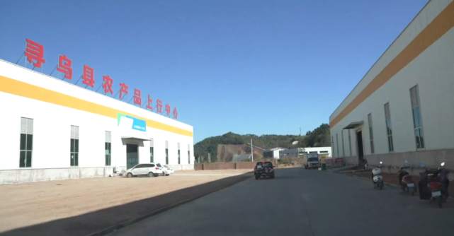 江西赣南脐橙网图片2