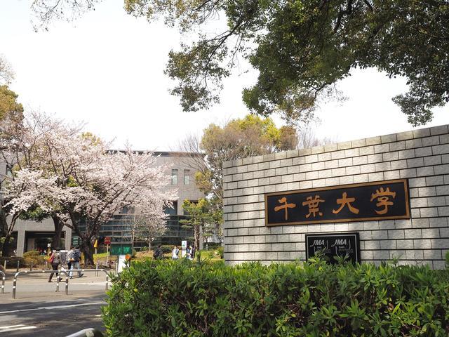 日本留学院校丨首都圈内优质国立大学:千叶大学_腾讯新闻
