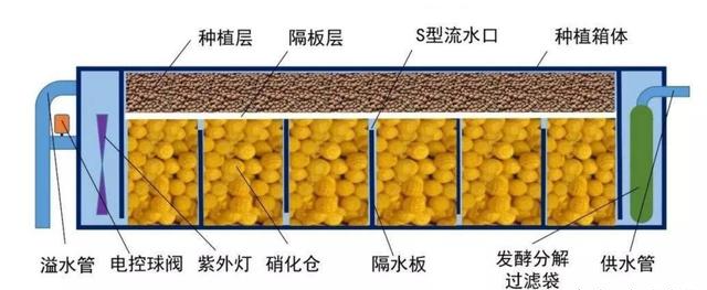 硝化種植槽魚菜共生系統三大核心是什麼?