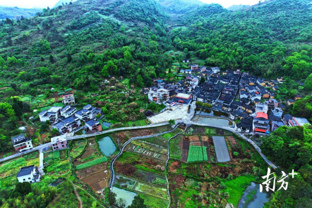 韶关乐昌庆云镇乡村春日美如画