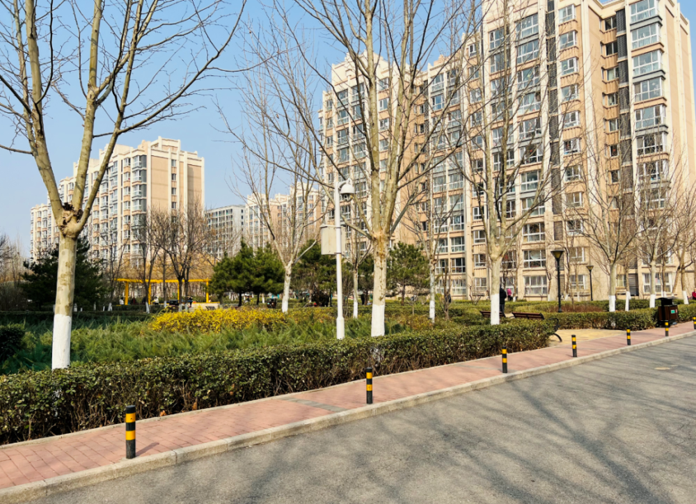 西安电子科技大学怎么样序老北京卫健逛逛太