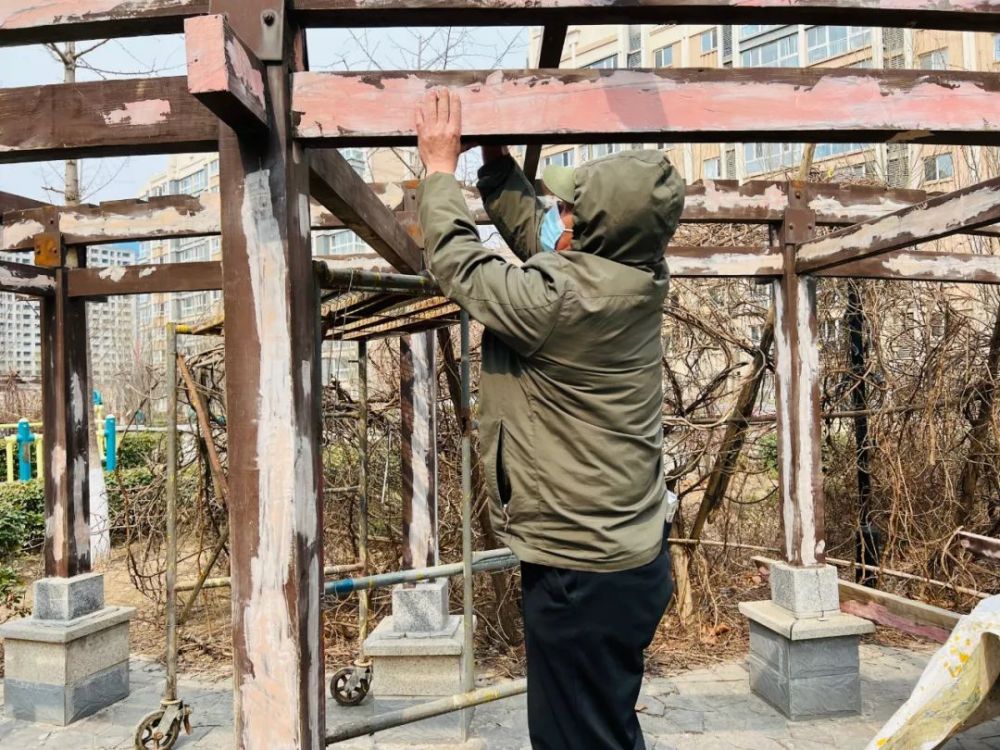 西安电子科技大学怎么样序老北京卫健逛逛太