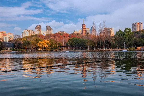 陽春三月,邀您共賞溫州九山公園茶花美景|松臺|溫州|九山公園|園林