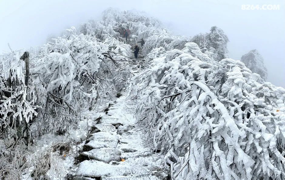 湖南紫盖峰的奇异冰冻雪景北方人直呼没见过