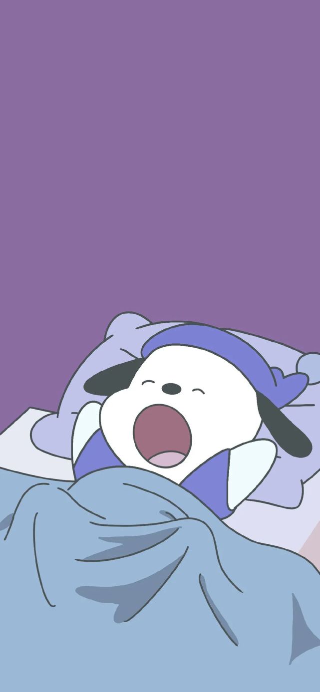 壁纸可爱帕恰狗壁纸