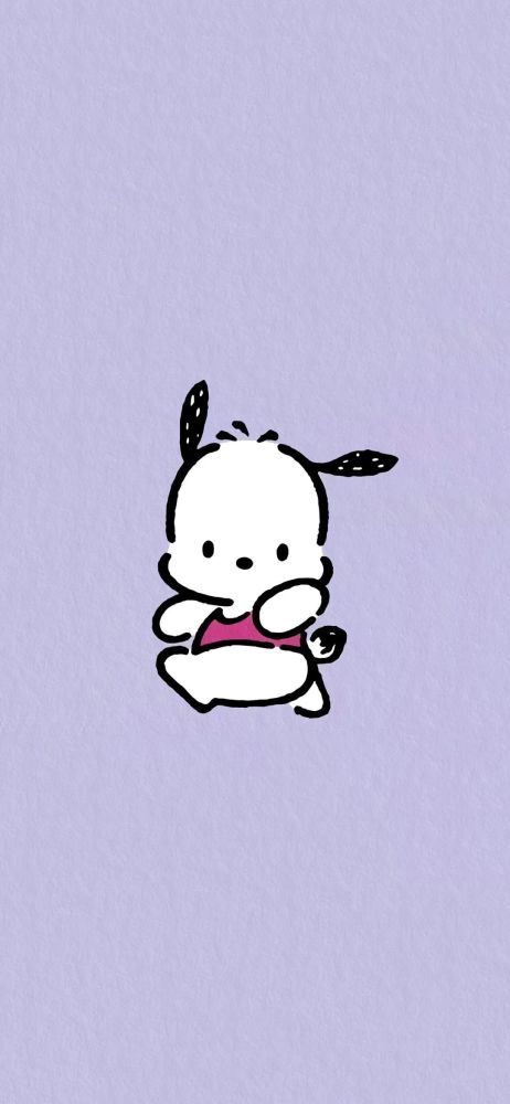 壁纸可爱帕恰狗壁纸