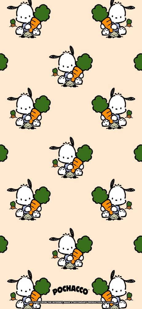 壁纸可爱帕恰狗壁纸