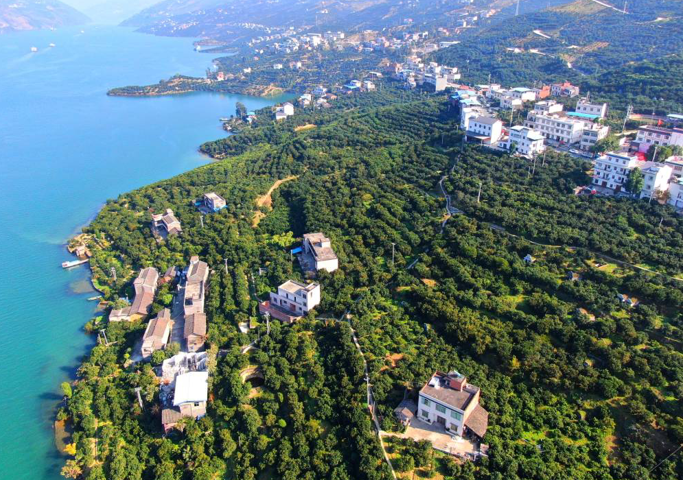 优秀乡镇街道风采聚焦产业振兴推动乡村振兴安坪镇着力打造橙乡水镇