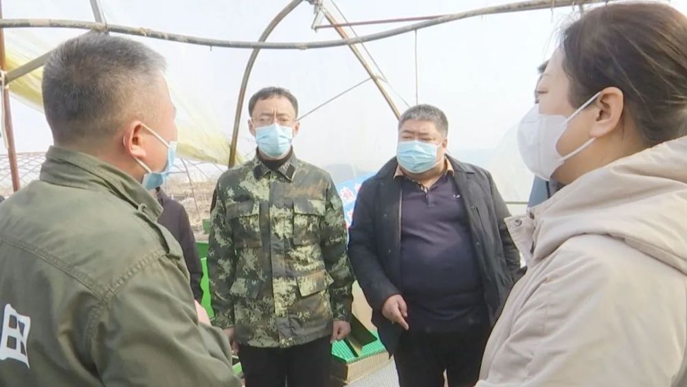 延寿县加信镇统筹疫情防控与春耕生产确保不误农时不负春