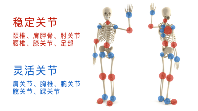 腕關節不夠靈活手肘也跟著遭殃