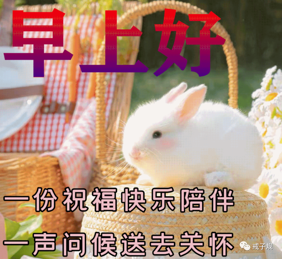 早上好祝福问候带字图,励志正能量早安哲理句子_腾讯新闻