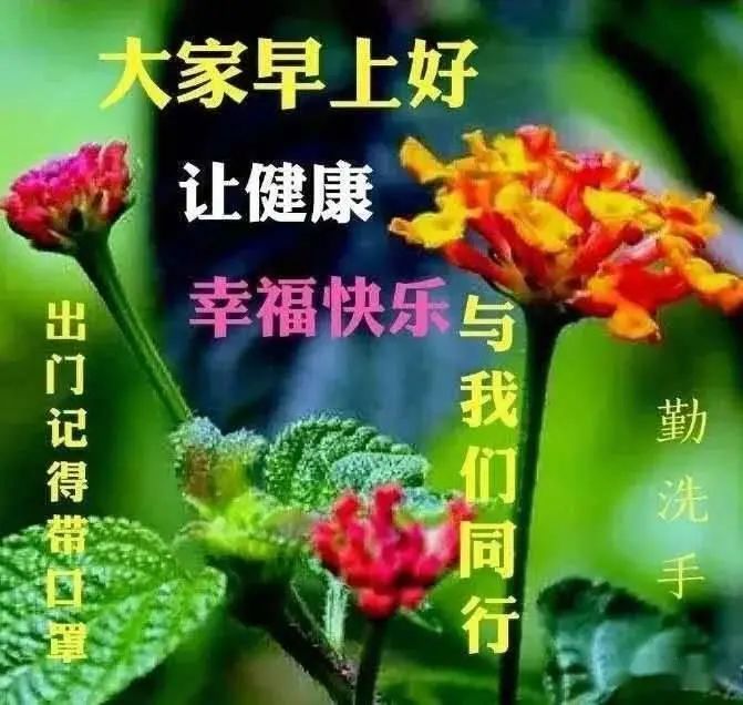 最新版早上好問候祝福語疫情當前平安為先一聲問候健康永遠