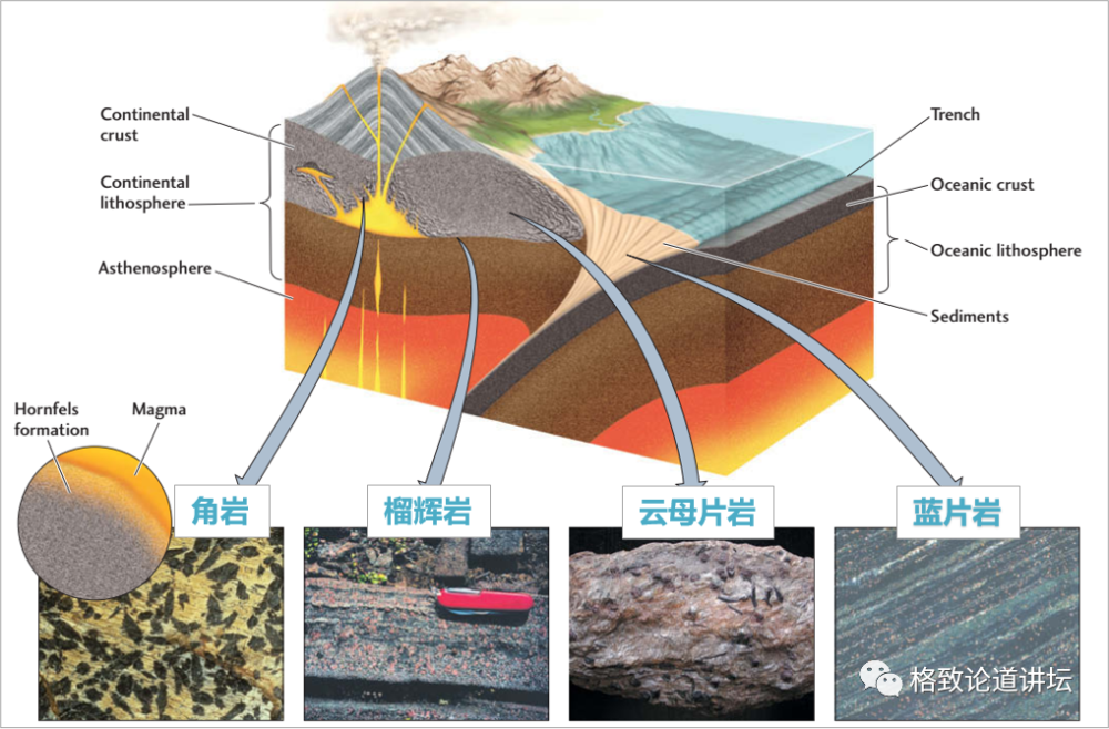 变质岩的形成过程图片