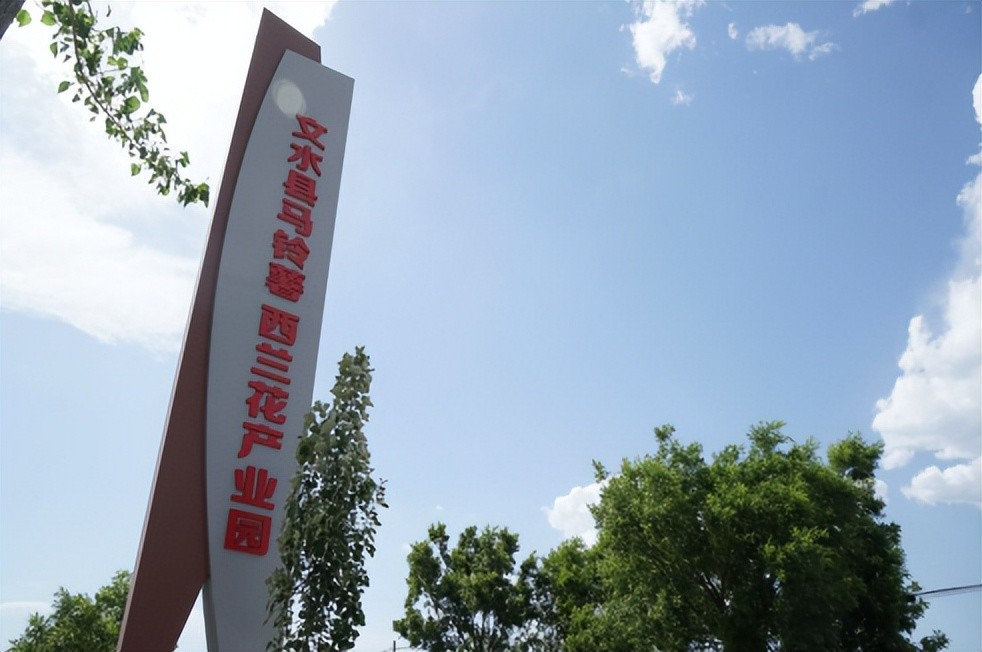 文水县南武乡农村集体资产清化收激活乡村振兴新动能