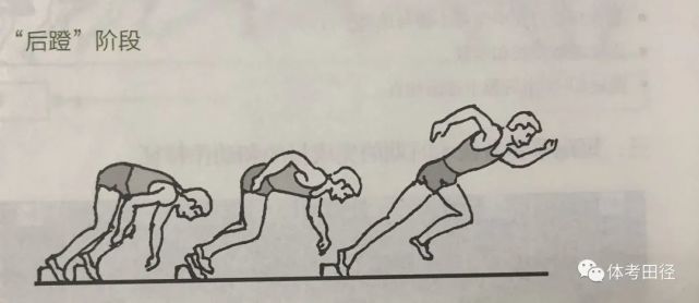 三种起跑姿势图片